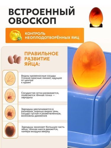 инкубатор steadfast с-12 купить, цена, фото, описание, характеристики, инструкция, отзывы, недорого купить, скидка, официальный сайт, магазин, самара, заказать