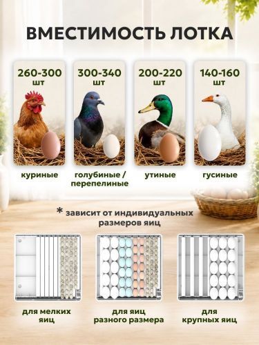 инкубатор steadfast с-300 купить, цена, фото, описание, характеристики, инструкция, отзывы, недорого купить, скидка, официальный сайт, магазин, самара, заказать