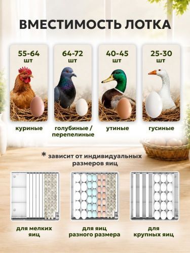 инкубатор steadfast с-64 купить, цена, фото, описание, характеристики, инструкция, отзывы, недорого купить, скидка, официальный сайт, магазин, самара, заказать