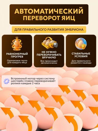 инкубатор наседка б-15 купить, цена, фото, описание, характеристики, инструкция, отзывы, недорого купить, скидка, официальный сайт, магазин, самара, заказать