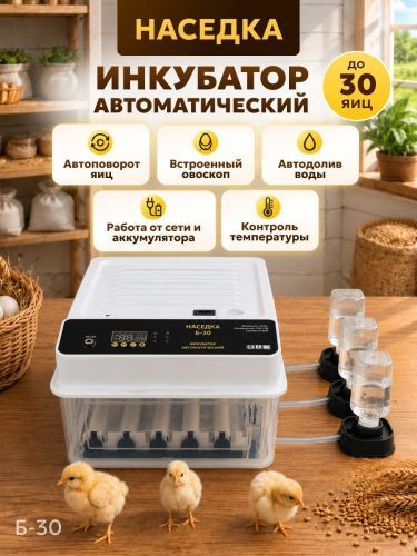 инкубатор наседка б-30 купить, цена, фото, описание, характеристики, инструкция, отзывы, недорого купить, скидка, официальный сайт, магазин, самара, заказать