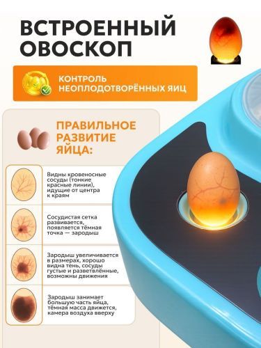 инкубатор steadfast г-36 купить, цена, фото, описание, характеристики, инструкция, отзывы, недорого купить, скидка, официальный сайт, магазин, самара, заказать