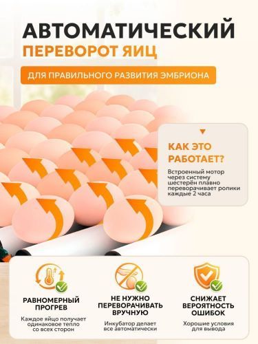 инкубатор steadfast с-12 купить, цена, фото, описание, характеристики, инструкция, отзывы, недорого купить, скидка, официальный сайт, магазин, самара, заказать