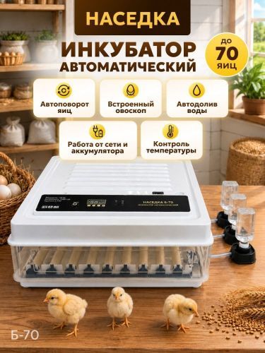 инкубатор наседка б-70 купить, цена, фото, описание, характеристики, инструкция, отзывы, недорого купить, скидка, официальный сайт, магазин, самара, заказать