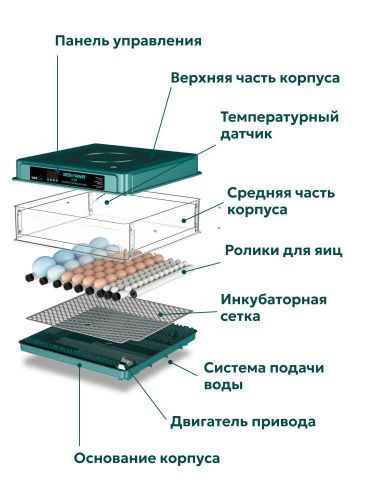 инкубатор green farmer з-30 купить, цена, фото, описание, характеристики, инструкция, отзывы, недорого купить, скидка, официальный сайт, магазин, самара, заказать