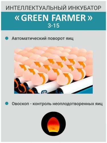 инкубатор green farmer з-15 купить, цена, фото, описание, характеристики, инструкция, отзывы, недорого купить, скидка, официальный сайт, магазин, самара, заказать