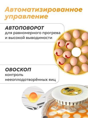 инкубатор green farmer бкр-18 купить, цена, фото, описание, характеристики, инструкция, отзывы, недорого купить, скидка, официальный сайт, магазин, самара, заказать